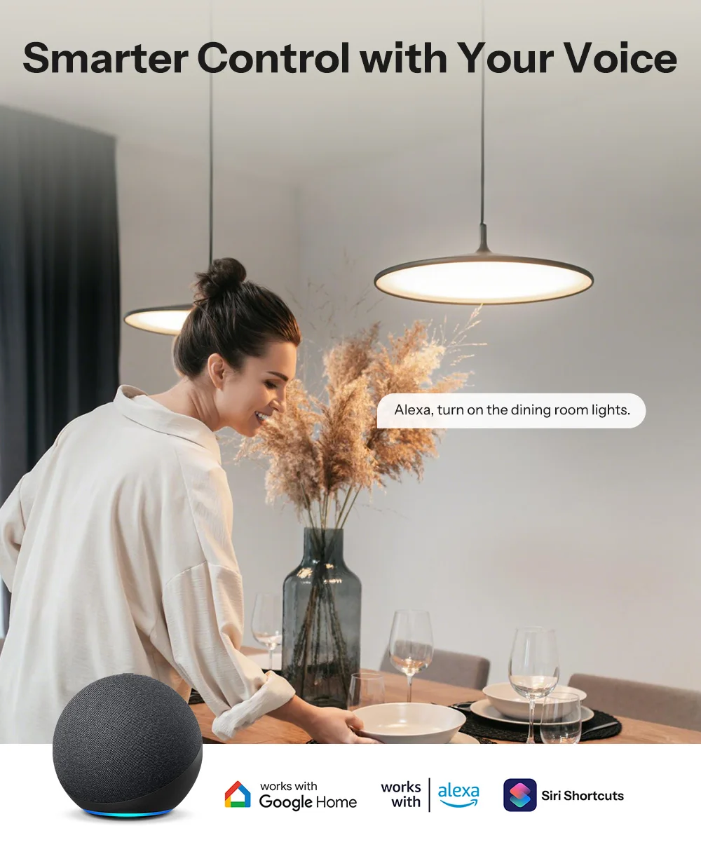 SONOFF MINI-2GS MINI DUO 2-Gang Matter Over WiFi Smart Switch Dual-Load Control Detach Relay Mode Supports External Switch Works with Alexa Google Home – Image 17